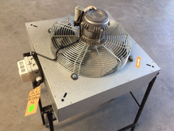 Photo 2022 08 24 09 51 16