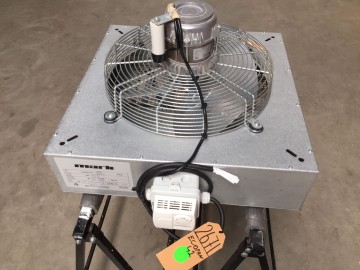 Photo 2022 08 24 09 57 00