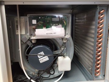 Photo 2022 09 05 15 41 51