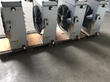 Photo 2023 05 04 14 50 46 5