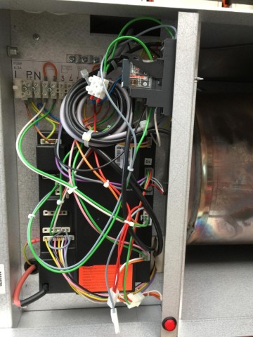 Photo 2024 04 30 09 52 36 3