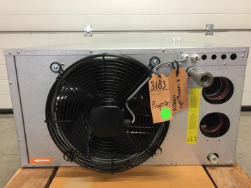 Photo 2024 04 30 09 52 36 8