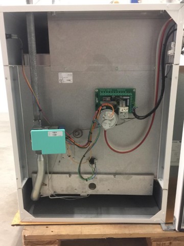 Photo 2024 07 01 14 43 57 2