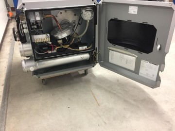 Photo 2024 07 04 10 06 49 3