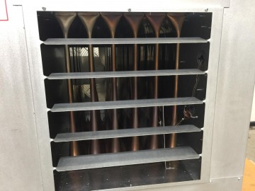 Photo 2024 09 11 15 26 40 5