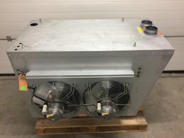 Photo 2024 11 20 15 26 20 8