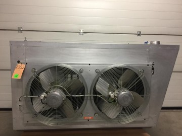 Photo 2024 12 13 12 46 24 9