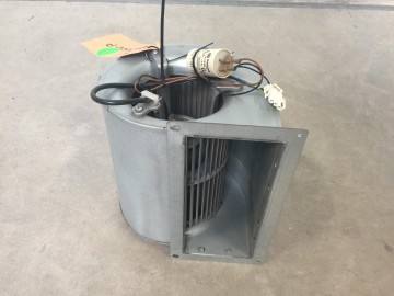 Photo 2025 03 10 08 32 22 2