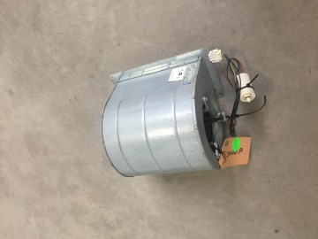 Photo 2025 03 10 08 32 22 3