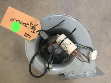 Photo 2025 03 10 08 32 22