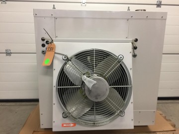 Photo 2025 03 11 15 54 48 9