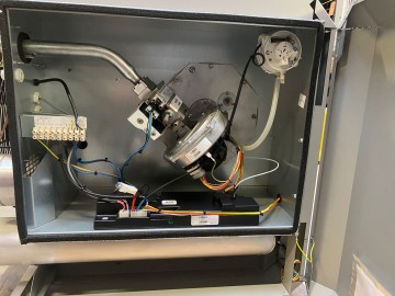 Photo 2026 02 03 12 55 14