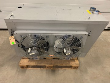 Photo 2026 02 19 08 19 26 2